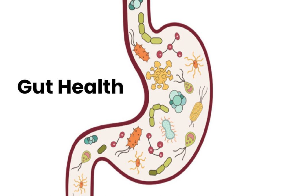 Gut Health-Facts, Signs Of Unhealthy Gut, Tips, and More