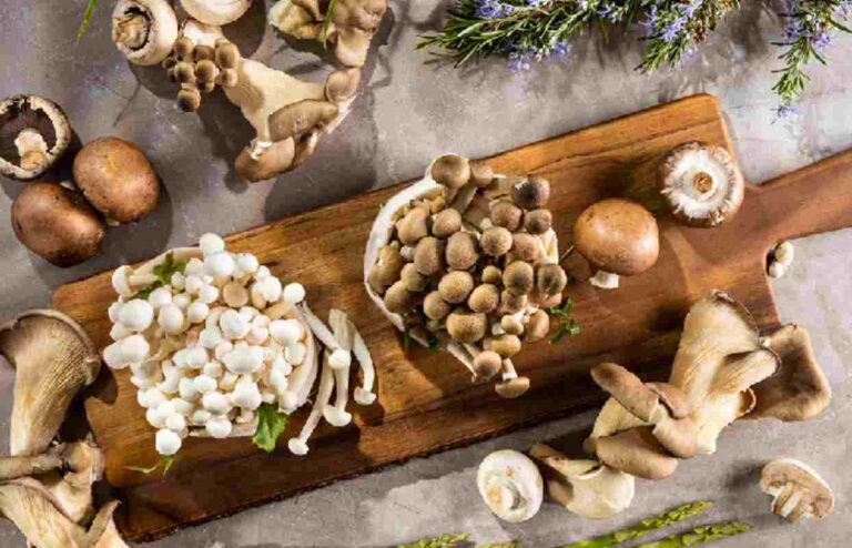 Benefits of Mushroom