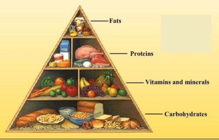 Elements of Nutrition