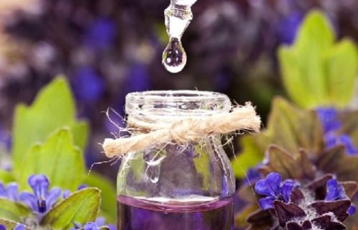 Lavender Extract