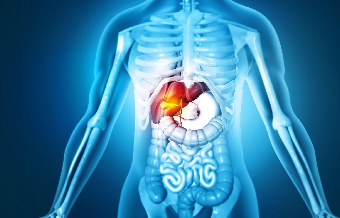 2. Activates One's Metabolism
