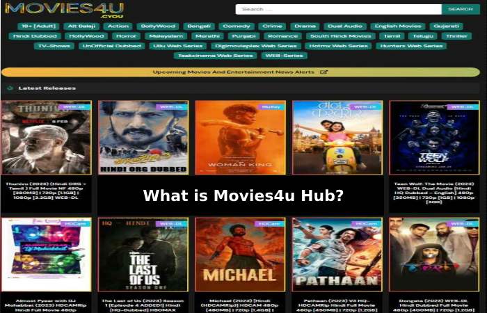 What is Movies4u Hub_
