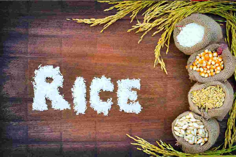 Rice - Introduction, Benefits and More
