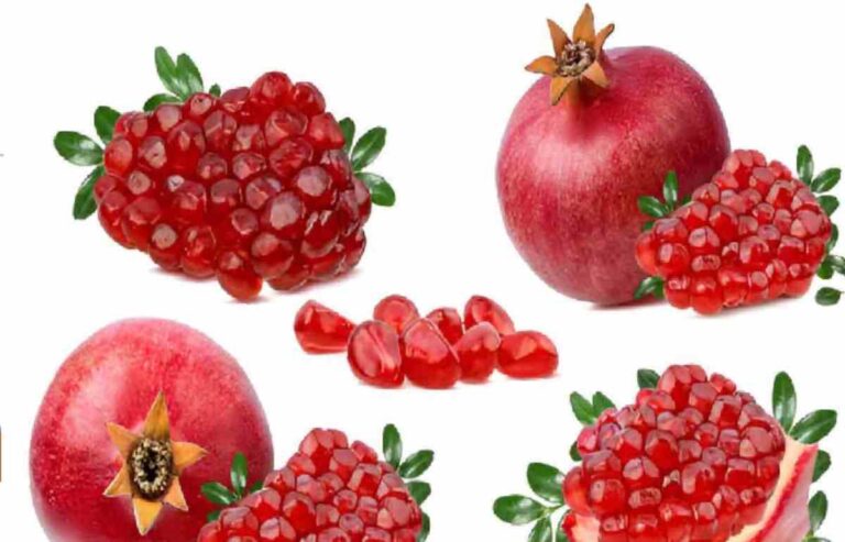Pomegranate Benefits - Introduction, Benefits and More