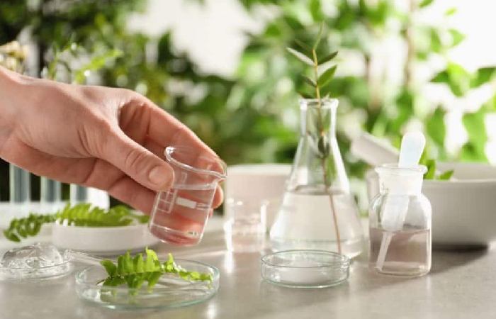 Clean Beauty Write For Us
