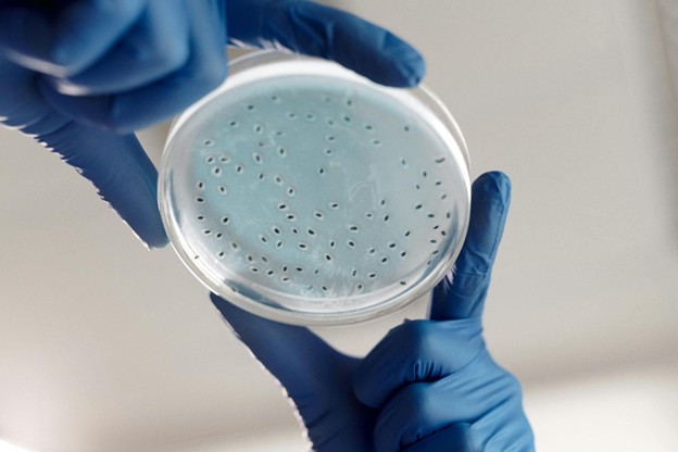 A New View on Food Science