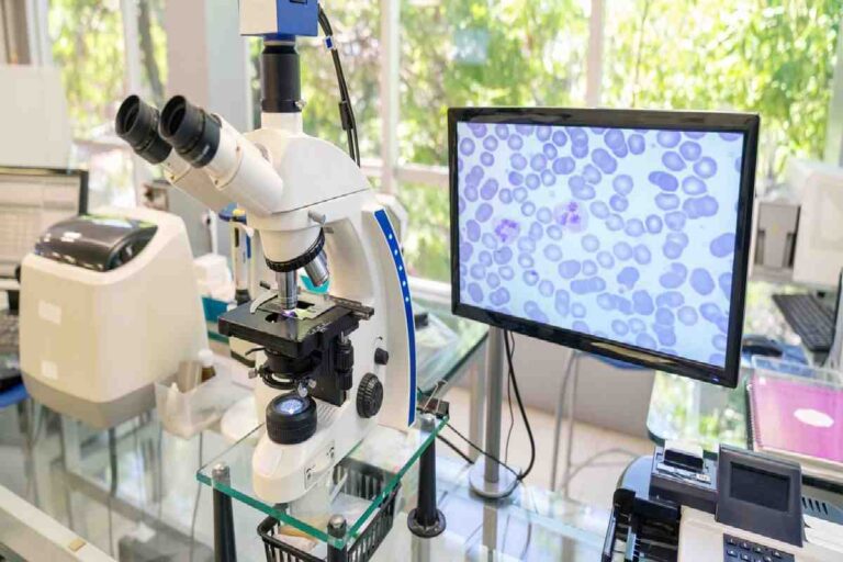 The Link Between Nutrition Research and Live Cell Imaging Technology