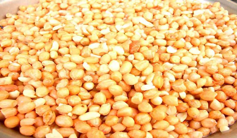 Are Peanuts Peas or Nuts