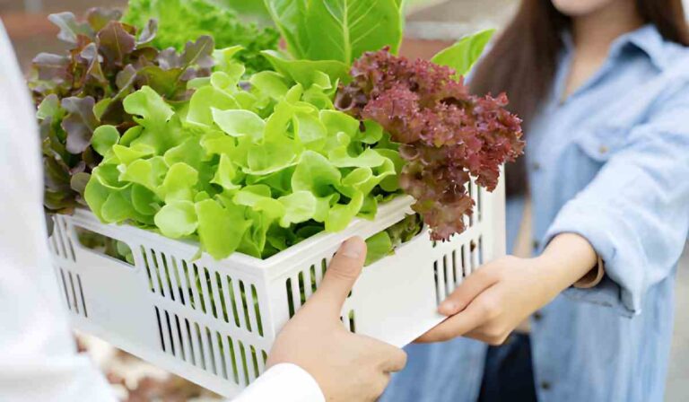 Best Farmers' Markets