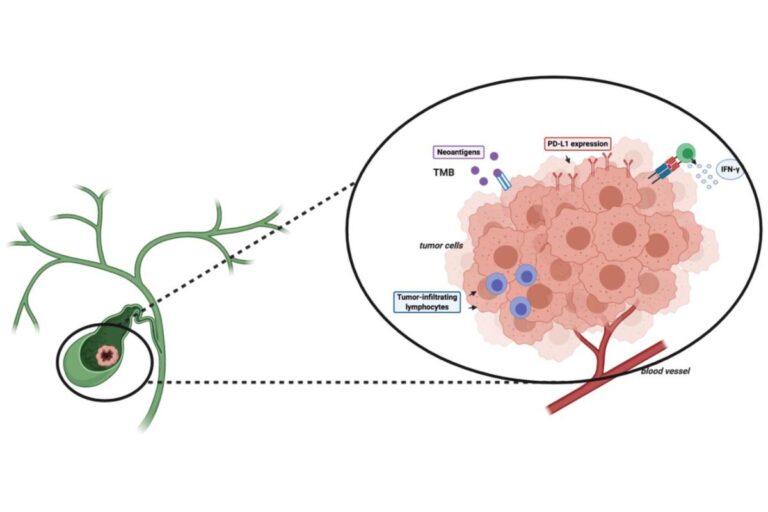 TMB, MSI, and Neoantigen Prediction